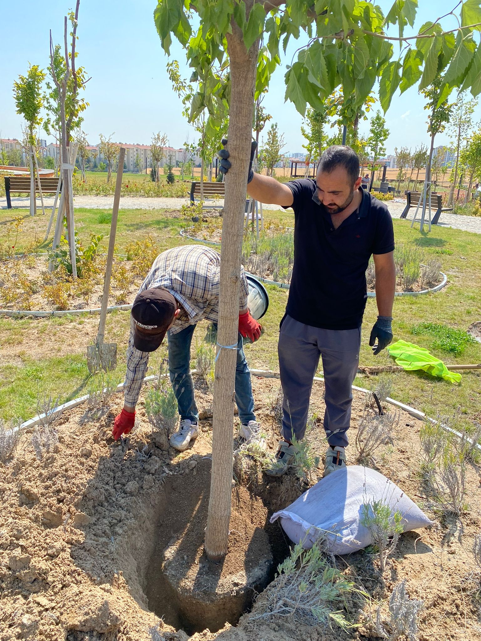 İç ve Dış Mekân Süs Bitkileri